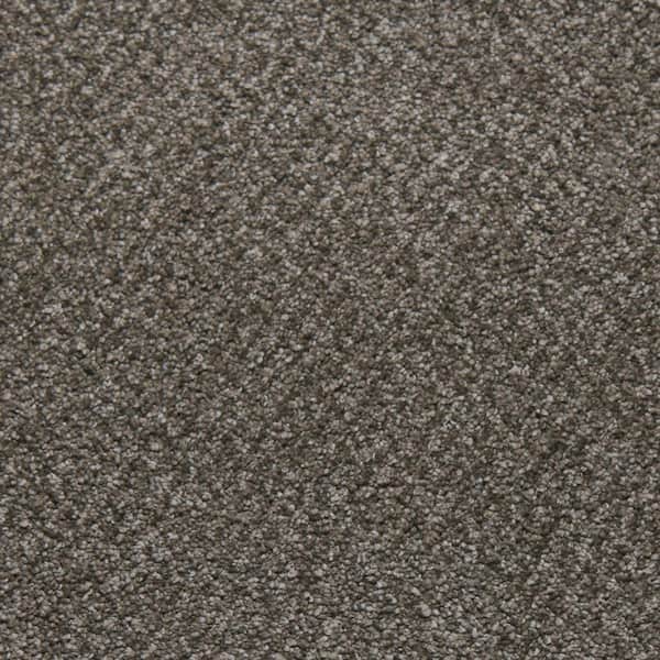 Home Decorators Collection Sweet Dreams I - Felicity - Beige 48 oz. SD Polyester Texture Installed Carpet