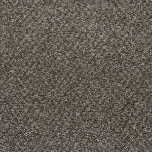Sweet Dreams II - Felicity - Beige 68 oz. SD Polyester Texture Installed Carpet