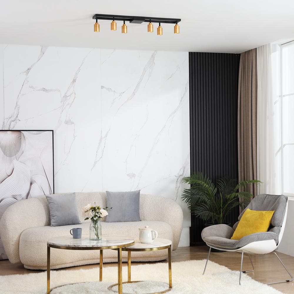 Vidalite Black and Gold Iron Rectangle Semi Flush Mount