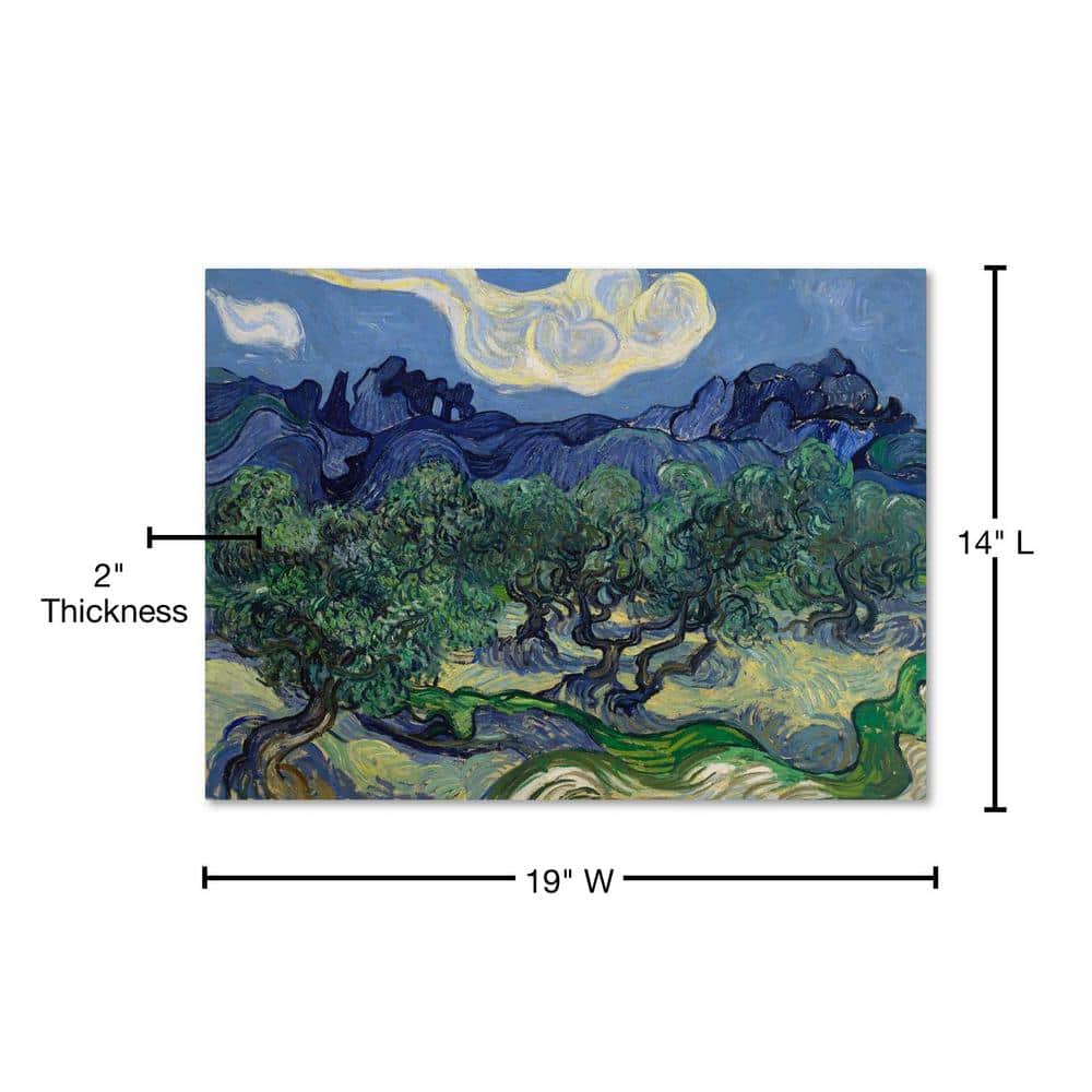 Vincent Van Gogh Olive Trees Landscape Canvas Print