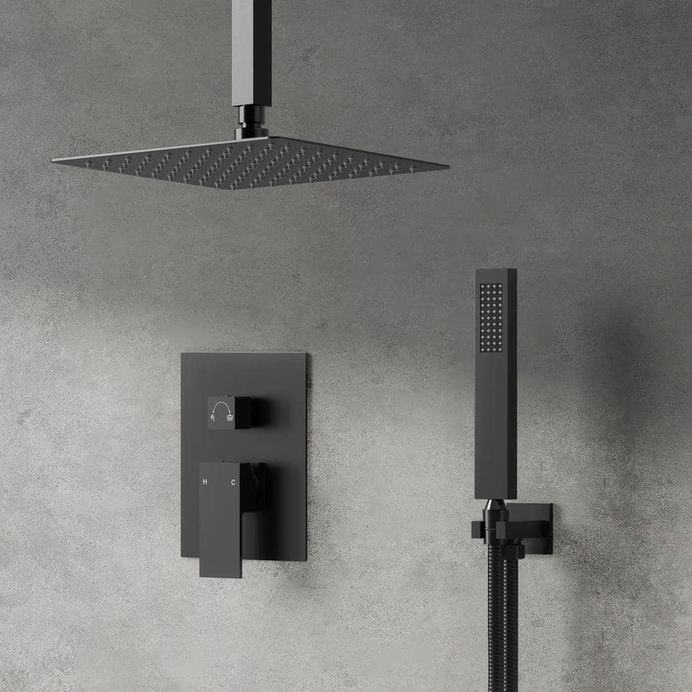 Classic Rain 10 in. Single Handle 2-Spray Shower Faucet 2.5 GPM with Pressure Balance in. Matte Black Valve Included price history on PriceWatchPro