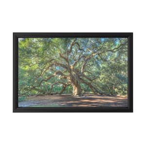 "Angel Oak Charleston" by Pierre Leclerc Framed with LED Light Landscape Wall Art 16 in. x 24 in.