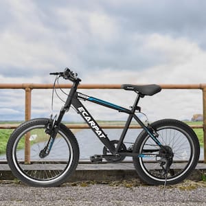 20 in Black Steel Mountain Bike with Gear Shimano 7-Speed for Boys and Girls
