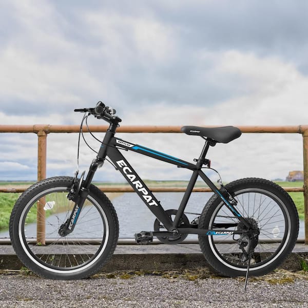 Cesicia 20 in Black Steel Mountain Bike with Gear Shimano 7-Speed for Boys and Girls