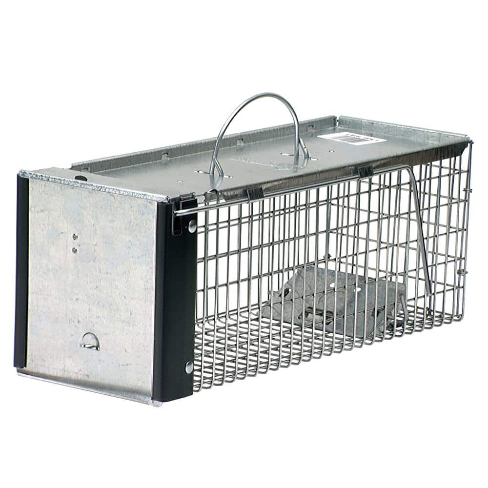 Havahart X-Small 1-Door Professional Live Animal Cage Trap for Rat, Squirrel,  Chipmunk, and Weasel 0745 - The Home Depot