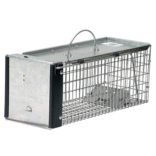 Havahart X-Small 1-Door Professional Live Animal Cage Trap for Rat, Squirrel, Chipmunk, and Weasel