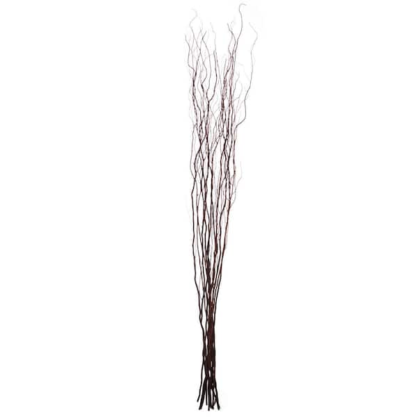 Bakoukiter 5PCS Artificial Lifelike Curly Willow Branches Decorative Dried  Birch Twigs 25.9 Inch Fake Bendable Sticks Stems for Craft Vases Home