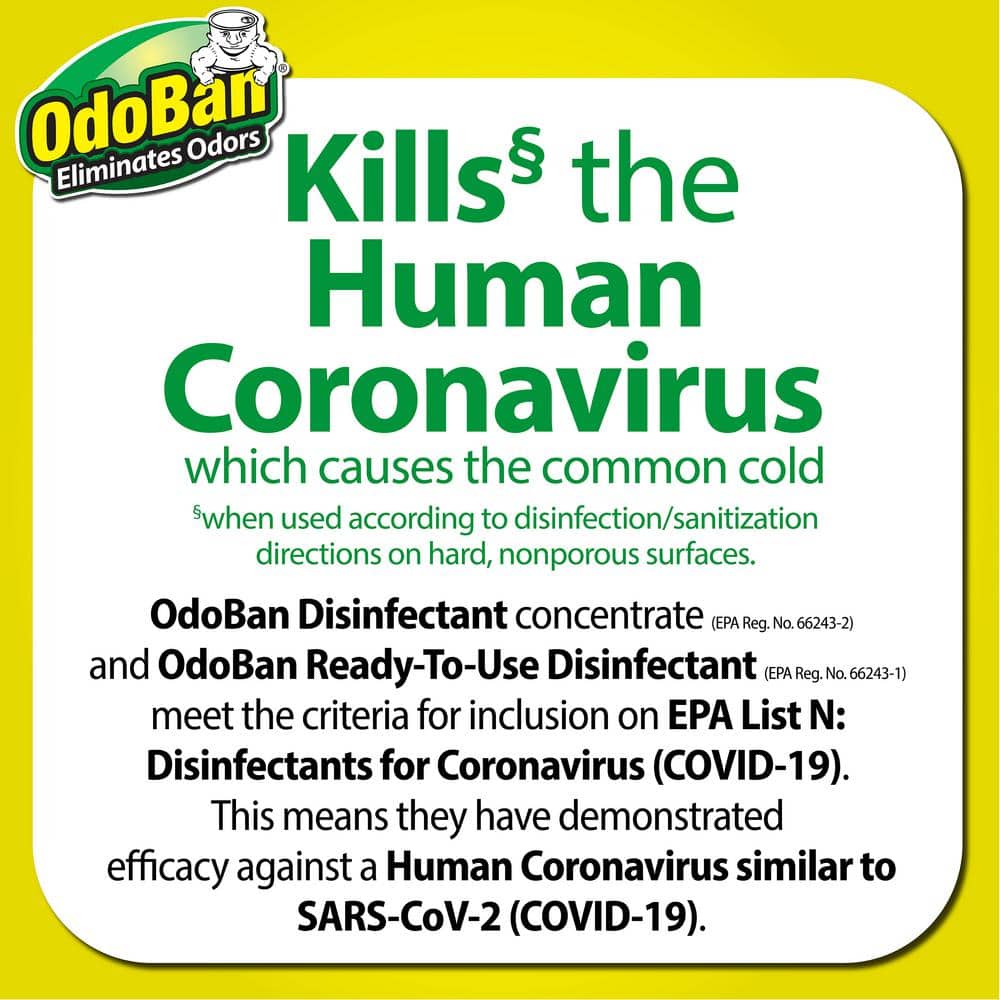 OdoBan Eucalyptus Scent Disinfectant and Odor Eliminator Concentrate
