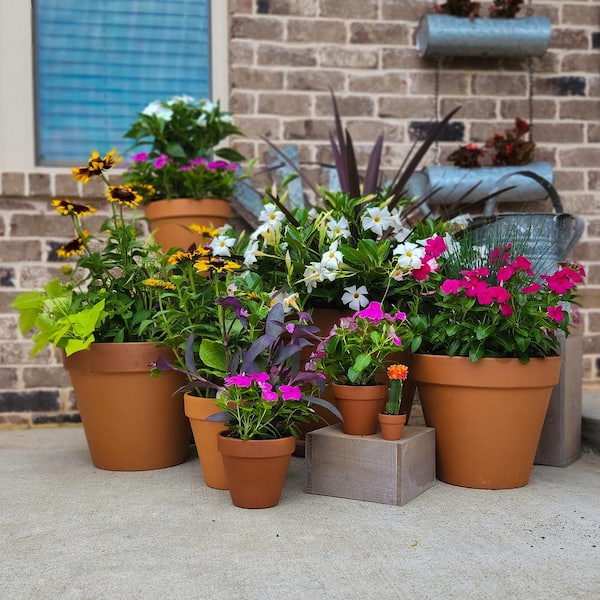 Vigoro 2 in. Mini Terra Cotta Pot 100506840 - The Home Depot