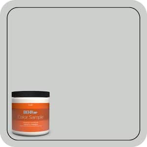 8 oz. #N460-2 Planetary Silver Flat Interior/Exterior Paint & Primer Color Sample