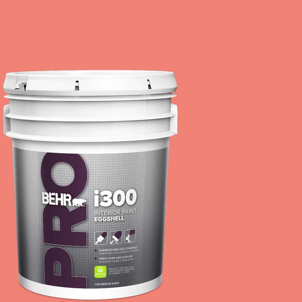 5 gal. #170B-5 Youthful Coral Eggshell Interior Paint price history on PriceWatchPro