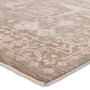 Lechmere Taupe/Cream 8 ft. x 10 ft. Medallion Area Rug