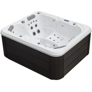 Excellence 4-Person 41-Jet 188 Port 240 V Acrylic Lounger Hot Tub, Bluetooth Stereo, LED Water Columns