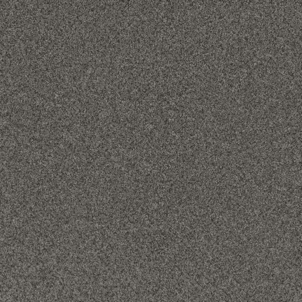 8 in. x 8 in. Texture Carpet Sample-Harpstring II-Color Silent price history on PriceWatchPro