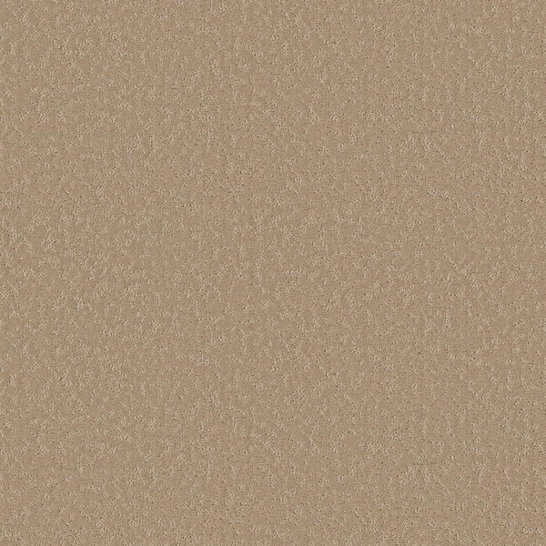 Wingate - Color Harvest Straw - 33 oz SD Polyester Pattern Brown Installed Carpet