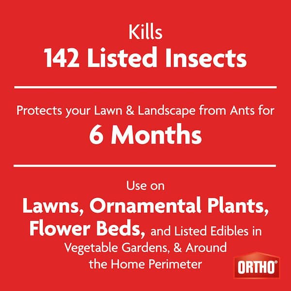 Bug B-gon Lawn Insect Killer 10 lb. Outdoor Granular Insect Killer, Kills Ants, Spiders and Ticks (2-Pack)