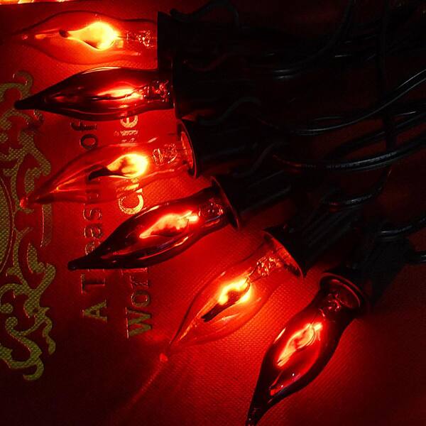 【コーウィン様用】FALLUJAH / Undying Light 12/3 SJTW String Lights with Metal Cage