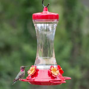 Adjustable Perch Glass Hummingbird Feeder - 20 oz. Capacity