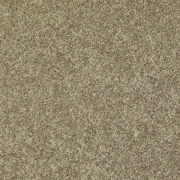 TrafficMaster 8 in. x 8 in. Texture Carpet Sample - Palmdale II - Color Sunwashed Sage