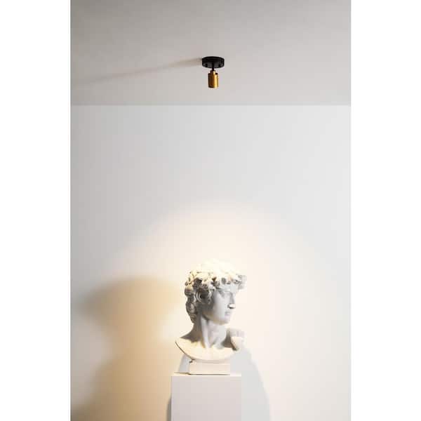 Shura 1-Light Black and Brass Integrated LED Monopoint Wall Sconce Spotlight w/ Rotatable Light Head, 3000K, 490LM