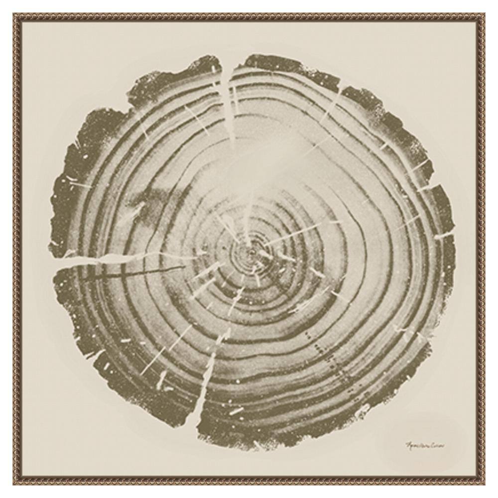 Tree Trunk Cream II Abstract Canvas Print with Bronze Floater Frame