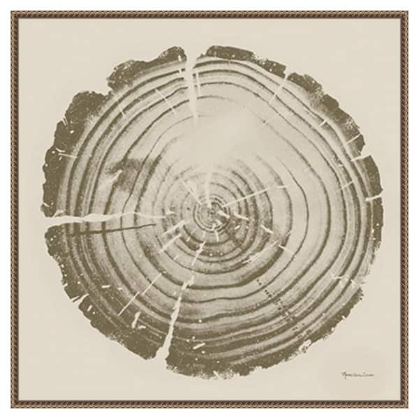 Amanti Art Tree Trunk cream II by Marie Elaine Cusson 30-in. W x 30-in. H. Canvas Wall Art Print Framed in Bronze