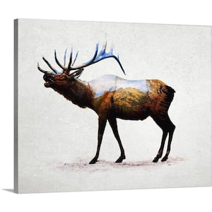 "Rocky Mountain Elk" by Davies Babies Canvas Wall Art