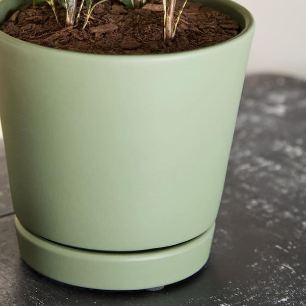 Vigoro Penelope Small Rosemary Stoneware Flair Planter with Drainage Holes  (4.5 in. L x 4.5 in. W x 4.2 in. H) 533739