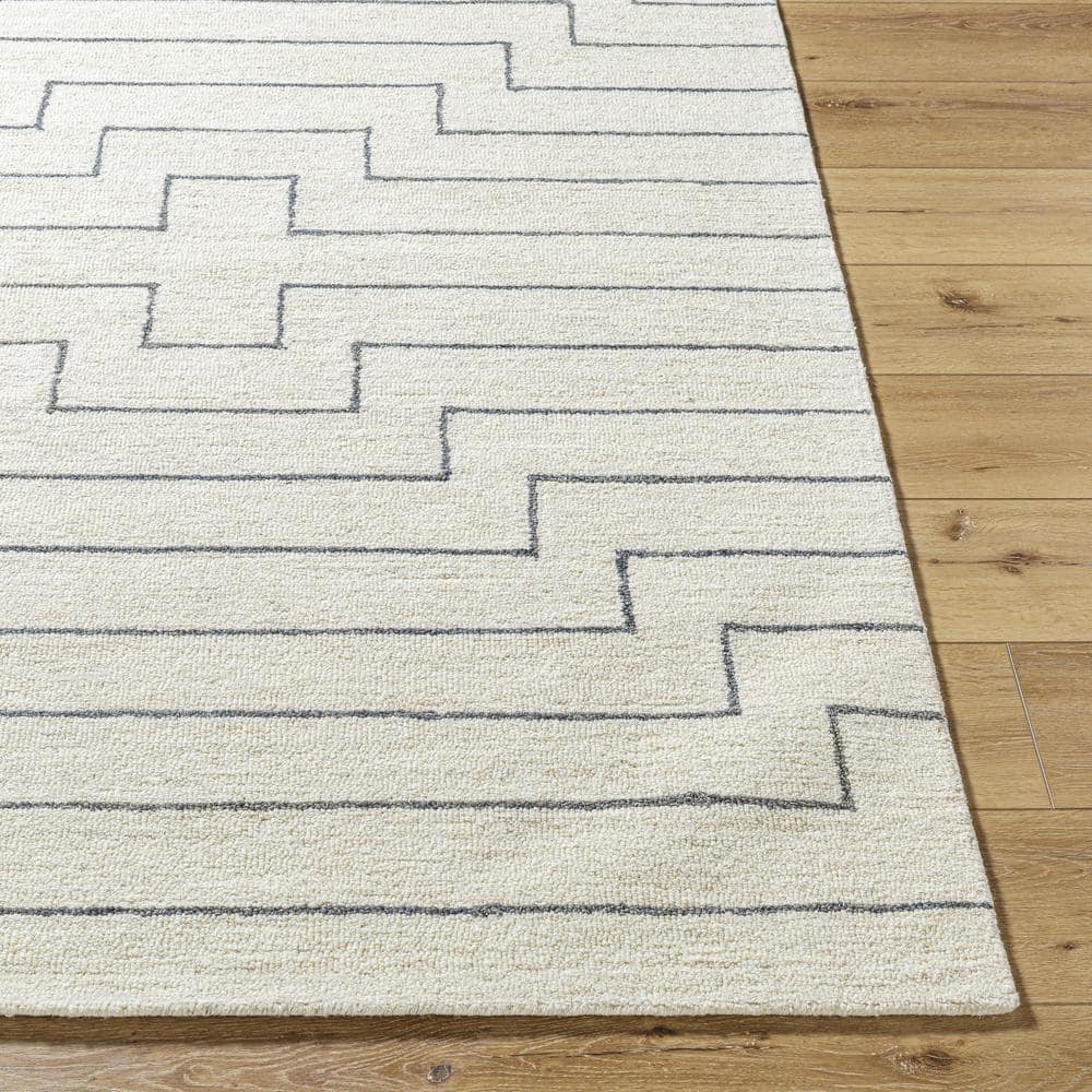 Bournemouth BOT-2309 5 x 8 White Handmade Rug price history on PriceWatchPro