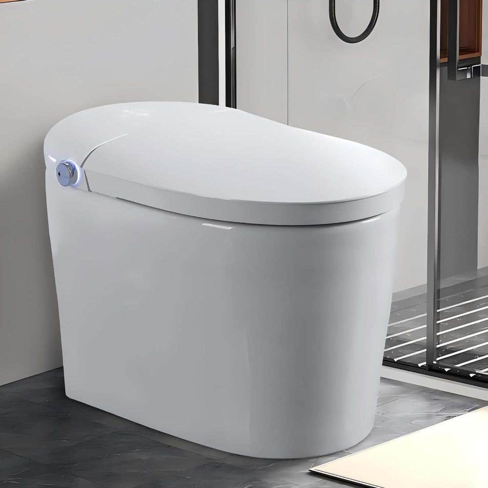 Tankless Smart Bidet Toilet with Auto Flush, Auto Open Lid, Heated Seat, Bubble Wash, Warm Water, Warm Air Dryer, White price history on PriceWatchPro