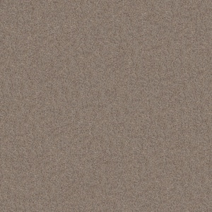 Sea Pines - Color Sequoia Beige 45 oz. Nylon Texture Installed Carpet