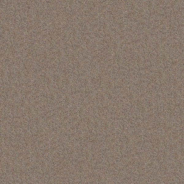 Lifeproof Sea Pines - Color Sequoia Beige 45 oz. Nylon Texture Installed Carpet