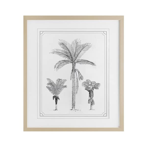 Palm Tree Trio Sketches by Lettered and Lined Birch Framed Nature Graphic Art Print 21 in. x 17 in.