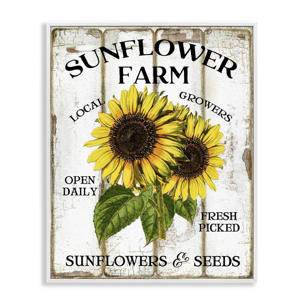 Antique Sunflower Farm Seeds by Creatif Belle White Framed Nature Giclee Art Print 14 in. x 11 in. price history on PriceWatchPro
