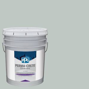 Color Seal 5 gal. PPG10-08 Gale Force Satin Interior/Exterior Concrete Stain