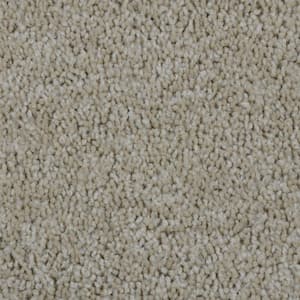 Bold Signature  - Oakton - Beige 16 oz. SD Polyester Texture Installed Carpet