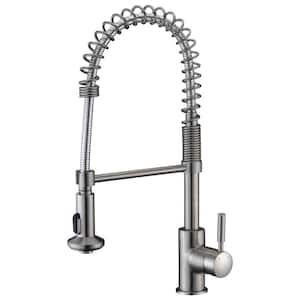 Eclipse Single-Handle Pull-Down Sprayer Kitchen Faucet in Brushed Nickel