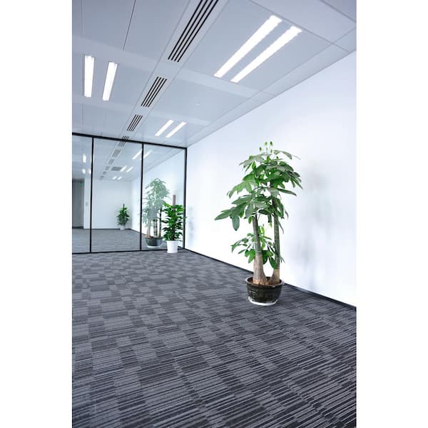 40-Watt 4 ft. T12 G13 Type A Plug and Play High Output Linear LED Tube Light Bulb, Cool White 4000K (2-Pack)