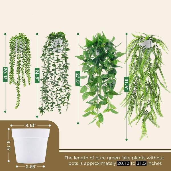 dracaena cinthos 7-10FT Dracaena Cintho Cane – Dahing Plants main image 1