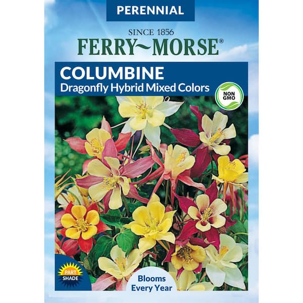 Ferry-Morse Columbine Dragonfly Hybrid Mixed Colors Flower Seed
