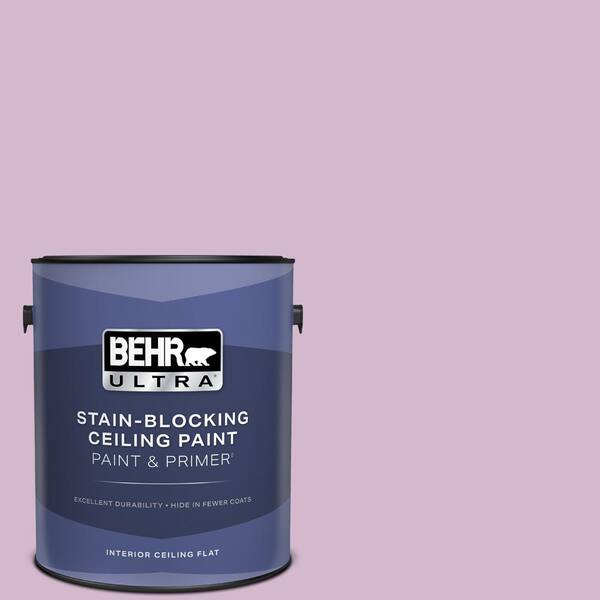1 gal. #M110-3 Bedazzled Ceiling Flat Interior Paint and Primer