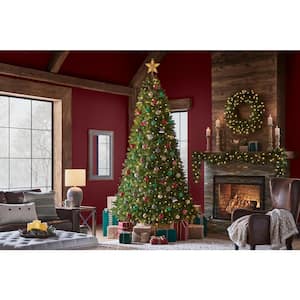 9 ft. Pre-Lit LED Barbour White Spruce Christmas Tree