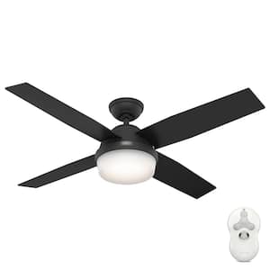 Dempsey 52 in. Indoor Matte Black Ceiling Fan with Remote and Light Kit Included