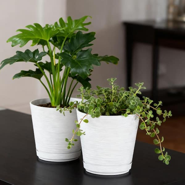 Lark & Vine Cabala White Resin Planter Set with Knock-Out Drainage