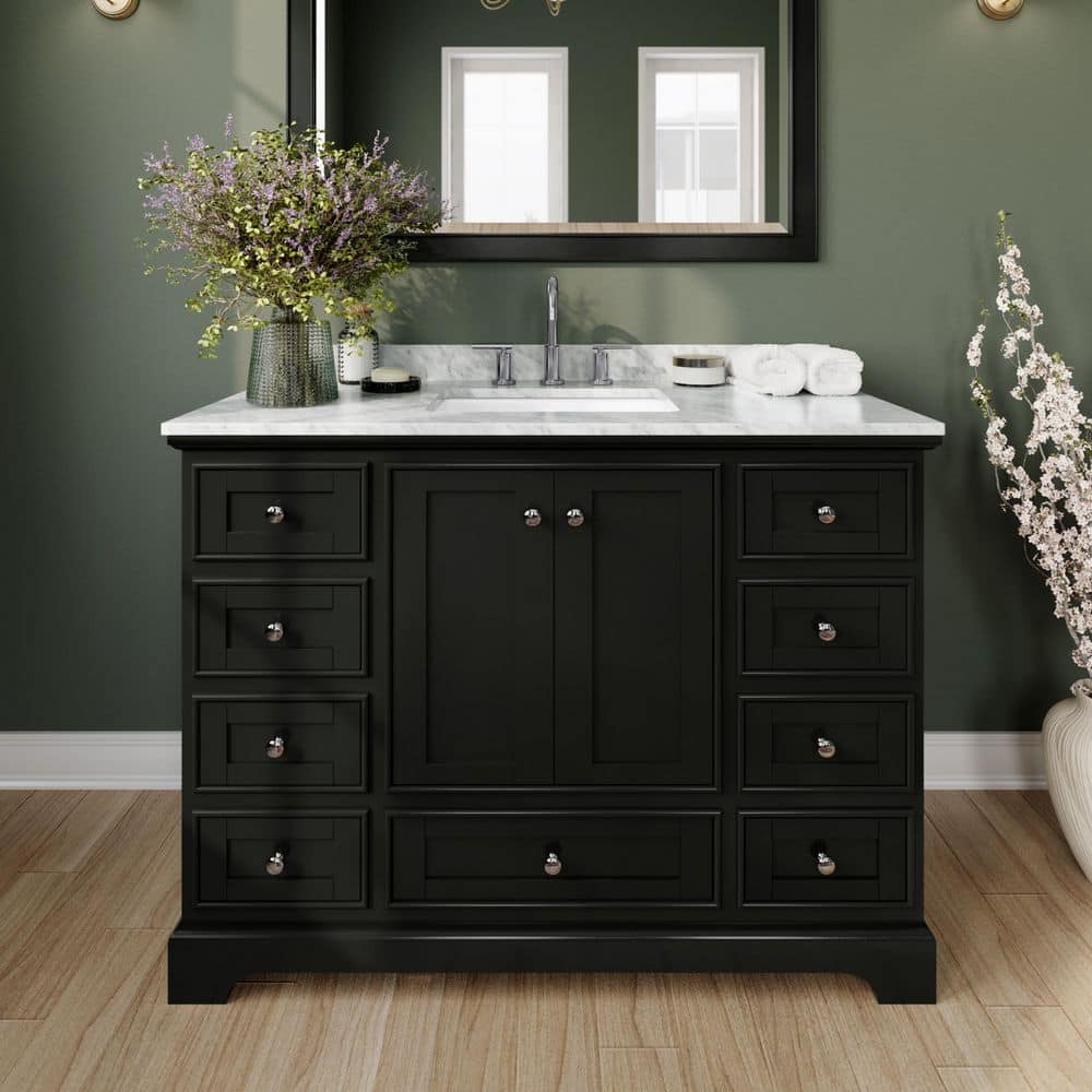Deborah 48 in. Single Vanity in Dark Espresso with Marble Vanity Top in White Carrara with White Basin and 46 in. Mirror price history on PriceWatchPro