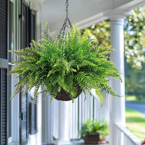 Unbranded 1-Pieces 23 in. W Green Artificial Hanging Boston Fern-UV  Resistant Plastic Plant for Indoor Decor with Hanging Planter WK1162