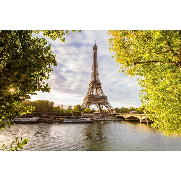 Dimex Seine In Paris Cityscapes Wall Mural MS-5-0028 - The Home Depot