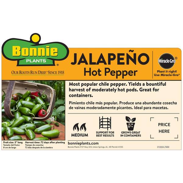 Bonnie Plants 1 qt. Jalapeno Hot Pepper Plant (6-Pack) 117370