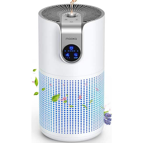 Air Purifiers for newest Home Large Room