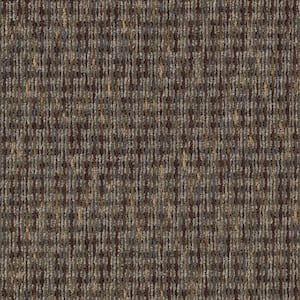 Social Network III  - Cement - Brown 21 oz. Nylon Loop Installed Carpet